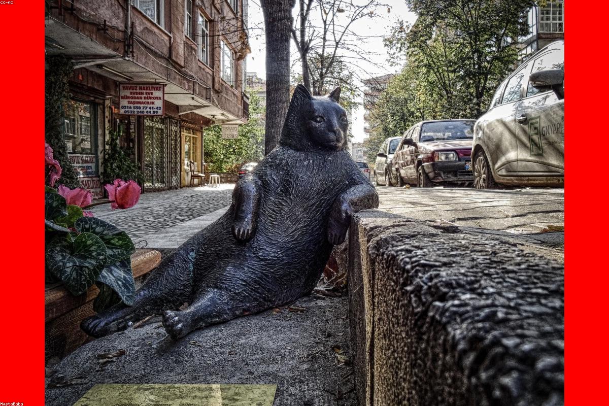 Planter i hjemmet: din guide til urban jungle