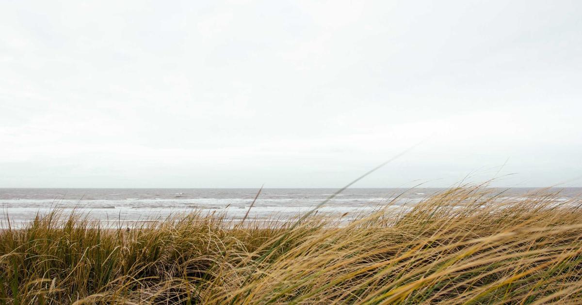 Testartikel nummer 8